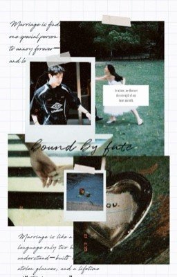 Связанные судьбой 