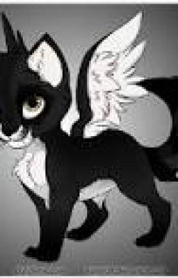 Коты - Воители: * Избраная Звездами*