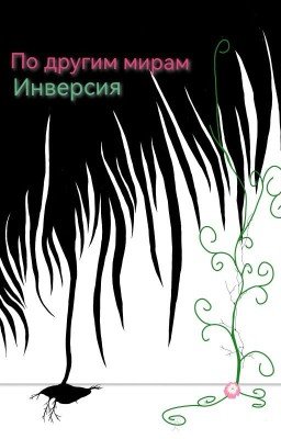 По другим мирам. Инверсия