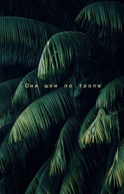 Они шли по тропе