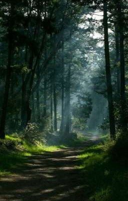 Зелёный цвет-цвет жизни