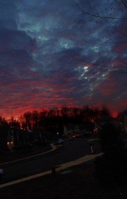 Сборник лучшего