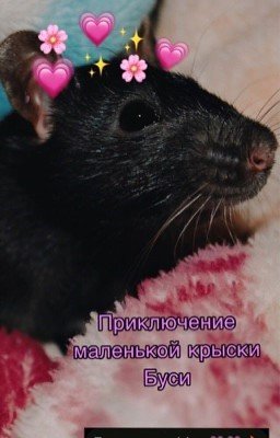 Приключение маленькой крыски Буси