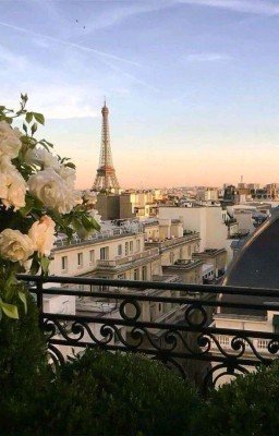 Леди баг и Супер кот 