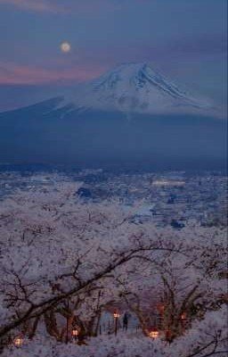 Все произошло в Южной Корее 