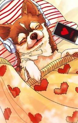 Жизнь и приключения Ханни