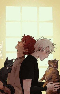 белое чудо(вище)