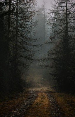 Мир Драконьей Долины