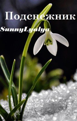 Подснежник