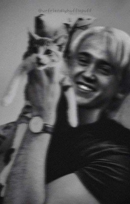 Драко  Малфой - Безумная История.