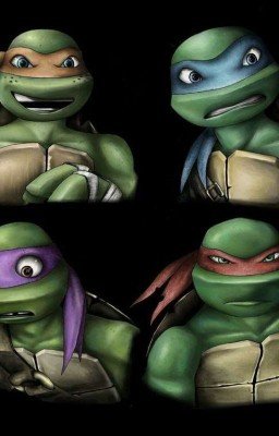 Черепашки ниндзя Новые Истории