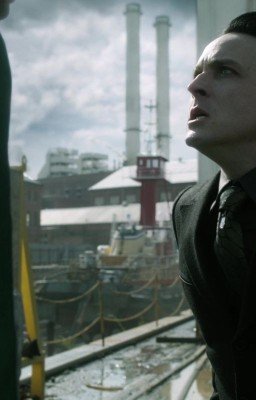 Медовый год