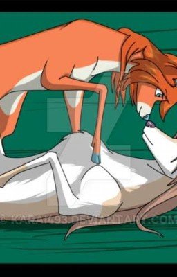  Блум и Валтор оленями стали