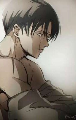 50 оттенков Леви