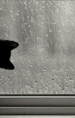 Жизнь После Смерти