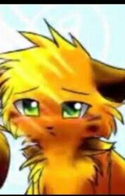 Приколы Коты-Воители