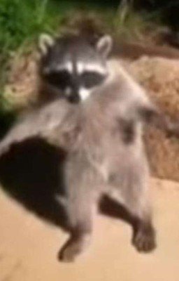 Короче говоря, мне лень. 1 Сезон.