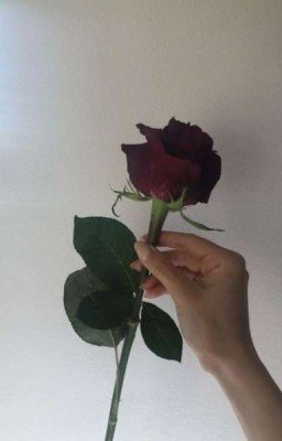 Первая И Последняя Роза🌹🥀