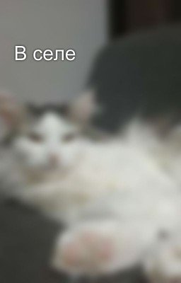 В селе