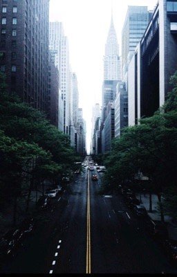 Нью Йорк свел нас