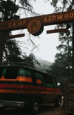 Лагерь шалостей 