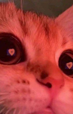 Реакции Аниме Персонажей на Тебя