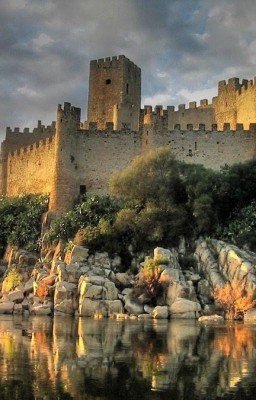 Мужицкие хроники: зарождение