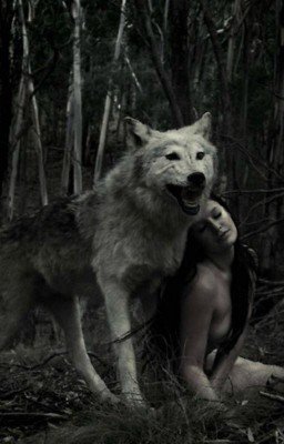 От ненависти до любви....