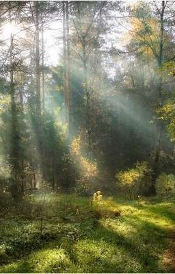 Темницы класса Люкс