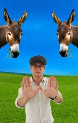 Стих про Ларри