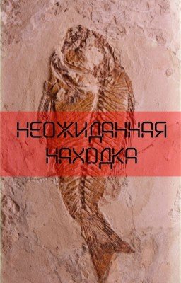 Неожиданная находка