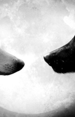 Сделать выбор