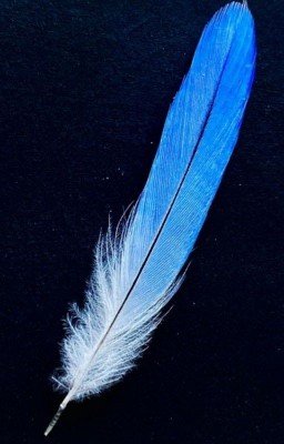 Сразу к делу,милый