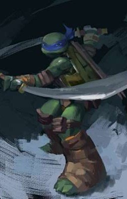 тень самураев.черепашки ниндзя.