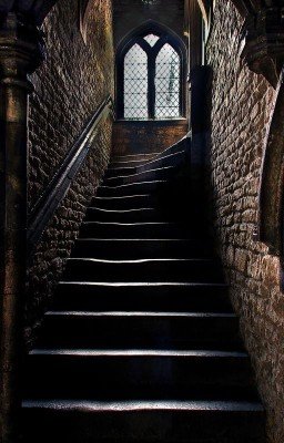 Новый горизонт