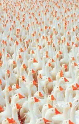 Синдром "Уха Трубочкой" и другие короткие опусы