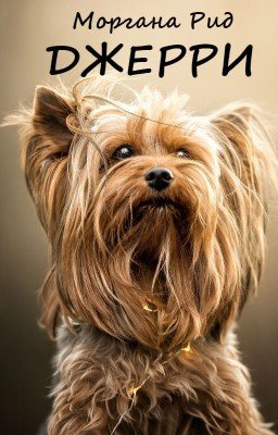 Джерри