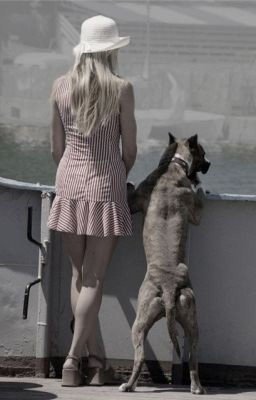 И все проблемы из-за этого странного, говорящего пса!