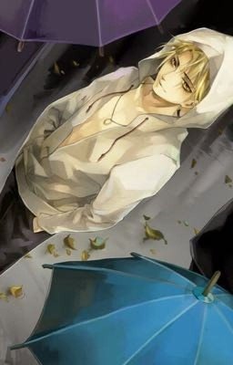 Кофе с черным шоколадом: Хикару 