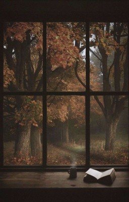 Литературный инцидент