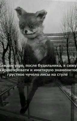Мой сосед