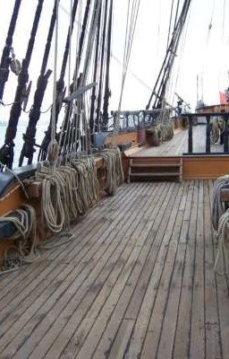 Интересная информация 