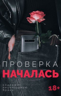 Проверка началась
