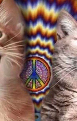 Юмор на ночь