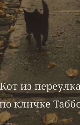 Кот из переулка по кличке Таббо.