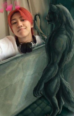 #SAVESEVENTEEN🚫🙏