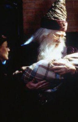 Гарри Поттер-МакГонагалл