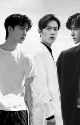 Жизнь разделенная на двоих