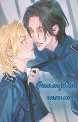 Расследование началось 