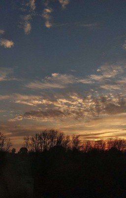 :Вам всегда плохо? :Нет нам всегда похуй✌🙄💋